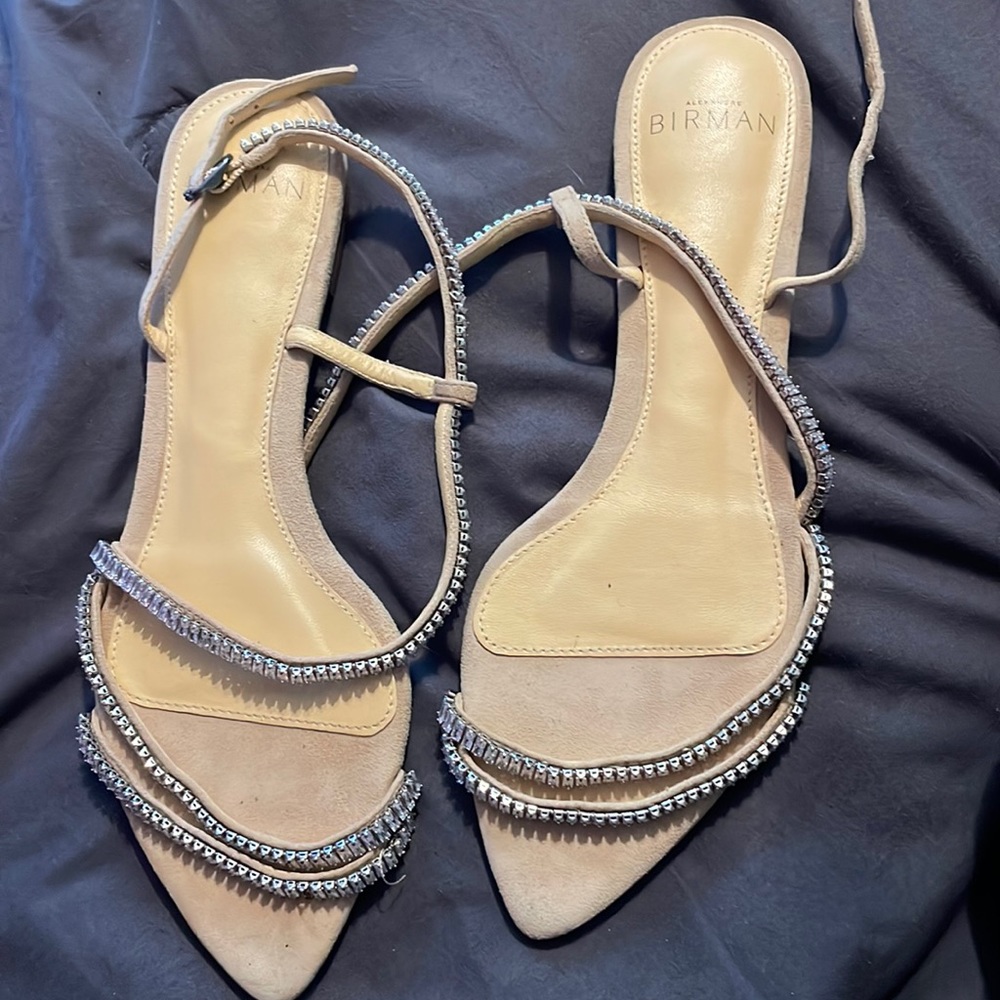 Alexandre Birman sandals